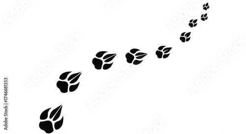 Animal paw prints leading upwards on a clean white background, suggesting a journey or progress.