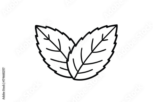 mint leaf vector line art flower silhouette