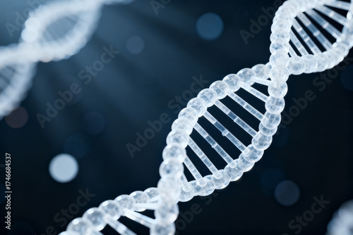 Double helix DNA structure