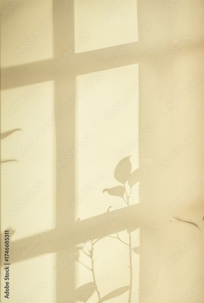 Naklejka premium Natural window color shadow overlay on clean minimal light white background