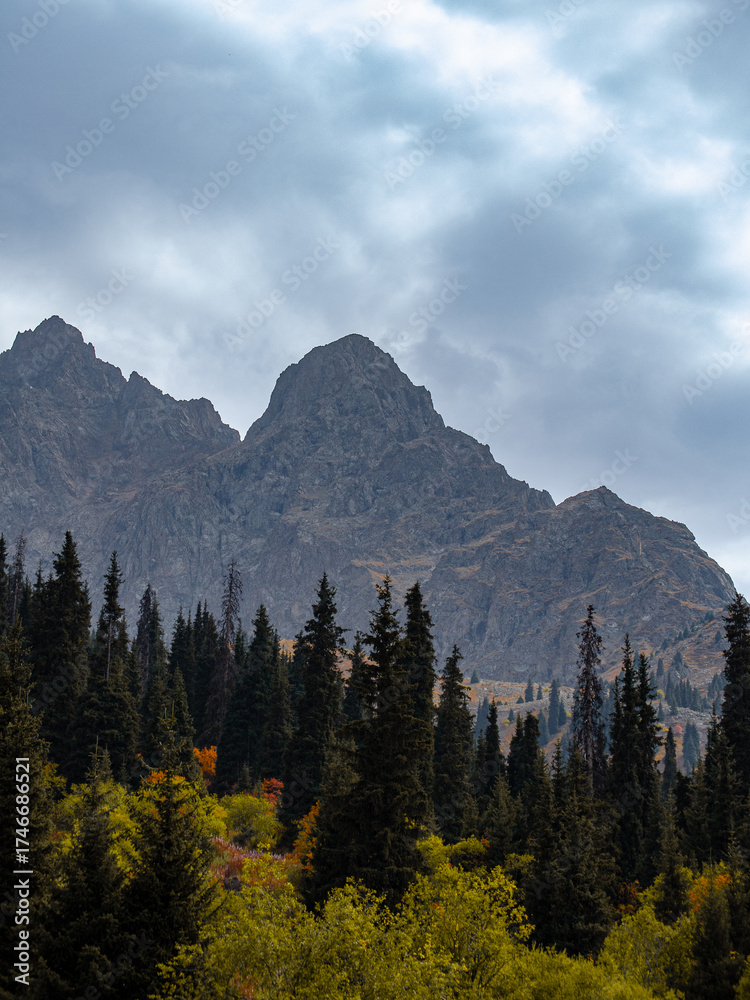Obraz premium mountains and clouds