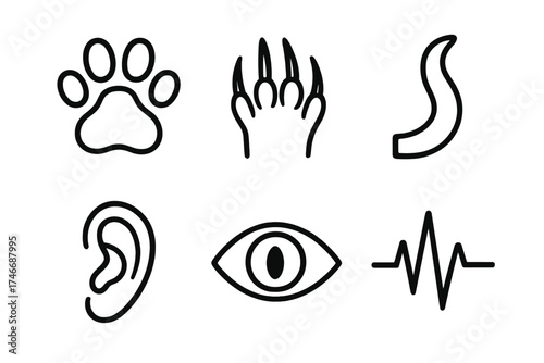 Animal Icon Reflexes. Animal reflex outline set. paw print, claw, tail, ear, eye, heartbeat line.