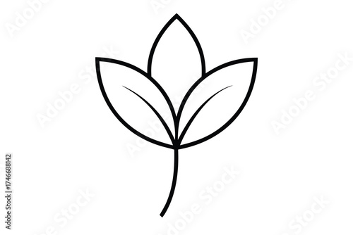 single petal vector line art flower silhouette