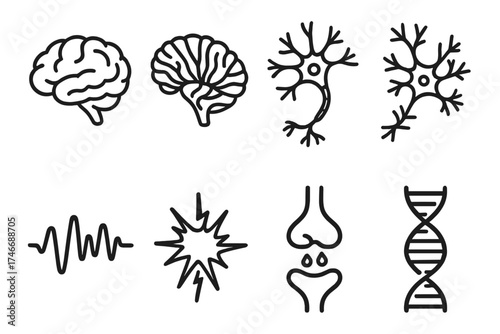 Neural Connection Icons. Biological Cerebellum outline set. brain outline, cerebellum section, neuron cell, dendrite connection, brainwave, nerve spark, neurotransmitter droplet