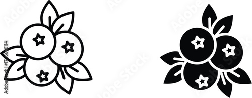 blue berry  icon vector graphic illustration  with white background flat hand made icon fill icon .
