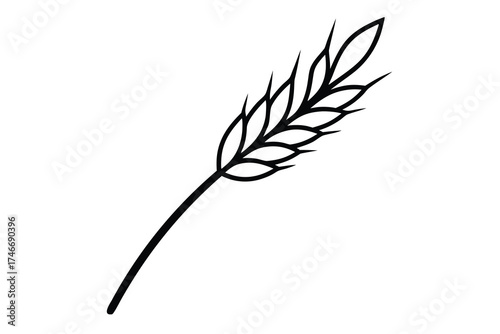 wheat stalk vector line art flower silhouette