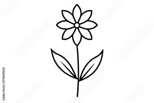 wildflower vector line art flower silhouette