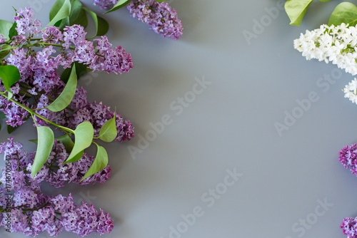 Spring lilac with leaves on a gray background with copy space
