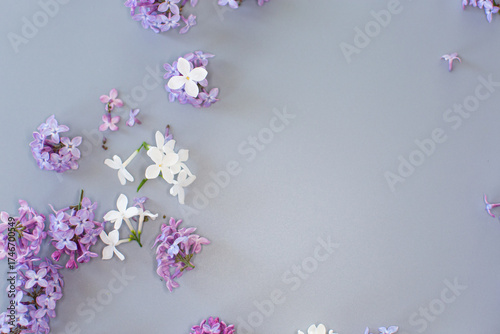 Spring lilac flowers on gray texture with empty space