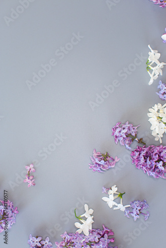Spring lilac flowers on gray texture with empty space