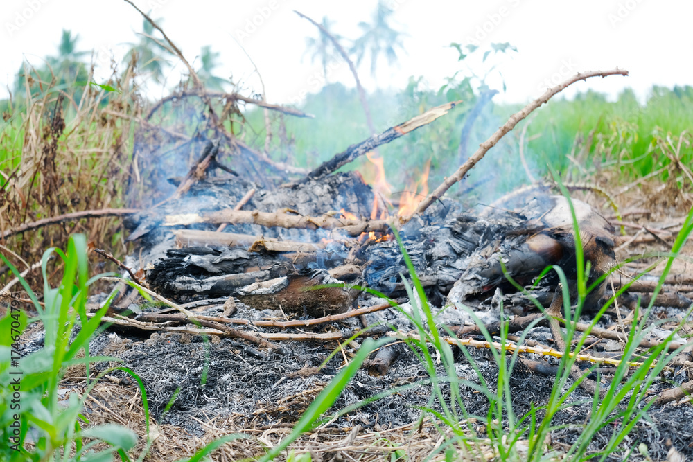 Obraz premium Burning a pile of garbage with a cloud of smoke.