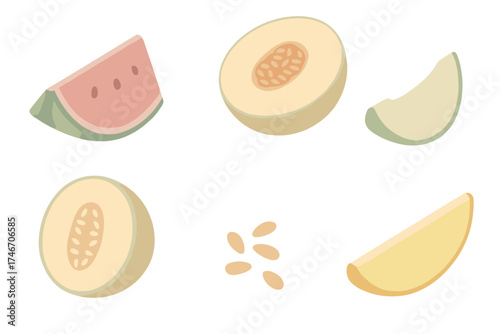Melon Fruit Icons. Isometric vector illustration set of melon fruits: watermelon slice, cantaloupe half, honeydew wedge, galia