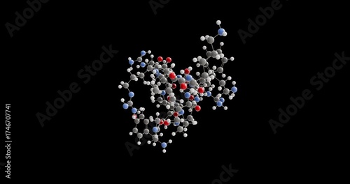 Dynorphin A molecule, rotating 3D model of dynorphin, looped video on a black background
