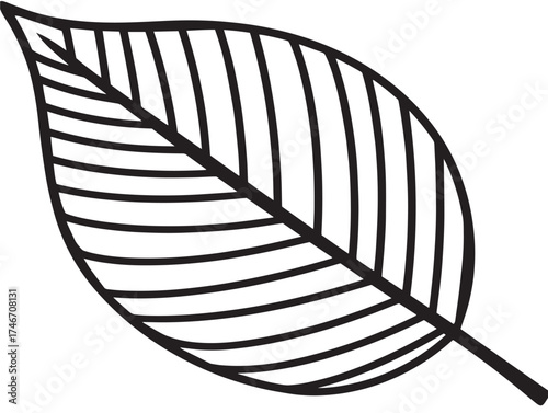 Simple modern leaf design icon in refined vector style