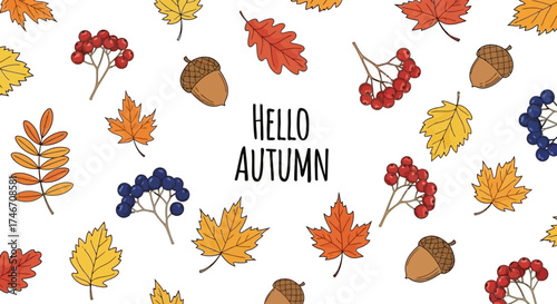 Hello Autumn vector background with sketched leaves, acorns, and berries, white background