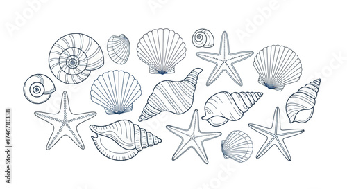 Collection of Seashells and Starfish Line Art in Blue Outline, white background