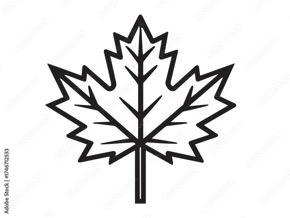 Obraz premium Natural maple leaf drawing in sleek modern line style