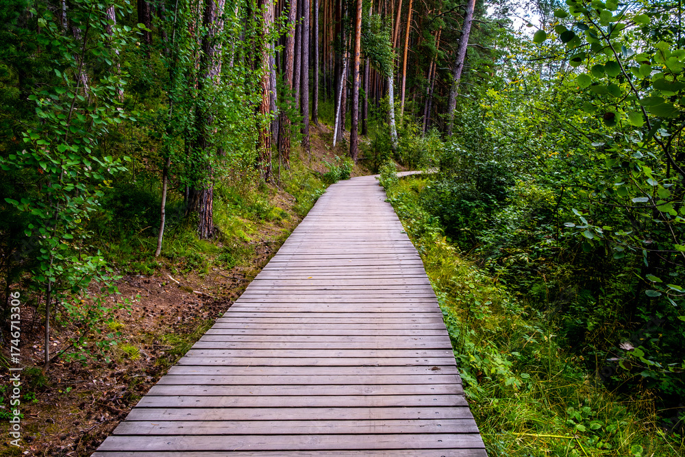 Obraz premium A long wooden path for walking in the forest.