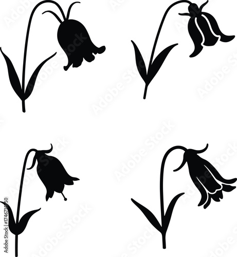 Four elegant silhouettes of bluebell flowers with stems and leaves in black and white