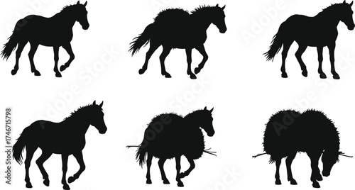 Creative vector illustration showing humorous transformation sequence of horse turning into sheep, animal metamorphosis concept, silhouette evolution artwork design"