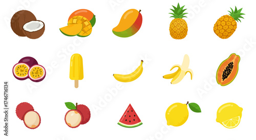 A grid of fifteen tropical fruit illustrations in three rows