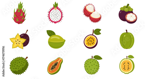 Twelve distinct tropical fruits illustrated in four rows and three columns