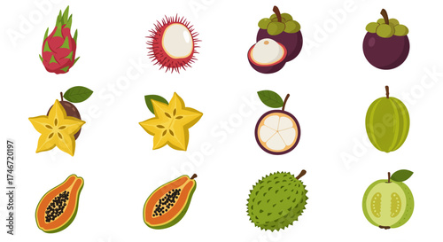 Twelve illustrations of tropical fruits arranged in three rows of four