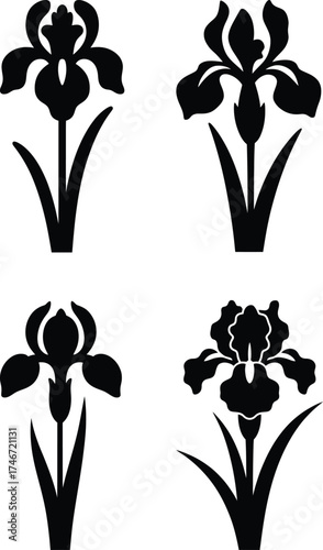 Four stylized silhouette iris flowers plant elements for floral designs and decoration