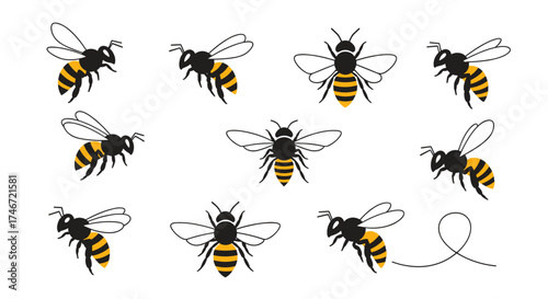 A collection of twelve distinct stylized illustrations of bees in various poses showcasing their anatomy and movement.