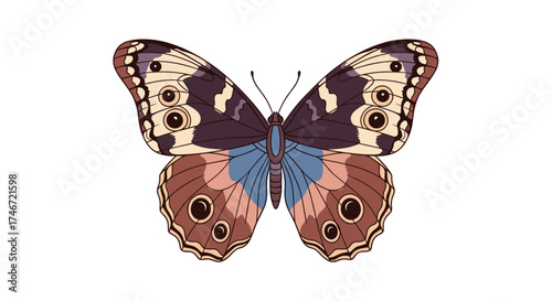 A beautiful colorful butterfly with detailed wing patterns against a white background.