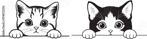 Two adorable kitten faces peeking over a line silhouette