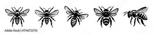 Multiple honeybees in flight and perching detailed black and white sketches artistic insect imagery