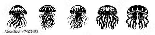 Intricate drawings of five elegant jellyfish with flowing tentacles underwater marine life ocean