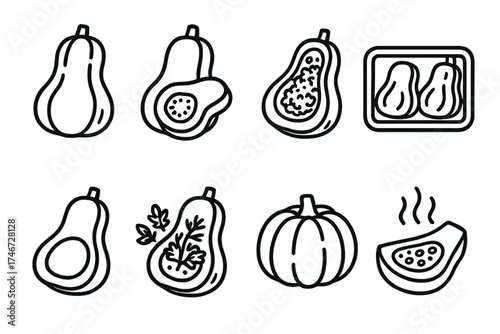 Squash Culinary Icons. Baked squash outline set. whole roasted squash, sliced squash, stuffed squash, squash on tray, golden baked half, squash with herbs, round roasted squash