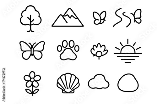 Nature Icons and Reflection. Nature reflection outline set. tree, mountain, river, lake, bird, butterfly, paw print, sunrise, flower, shell, stone, cloud.