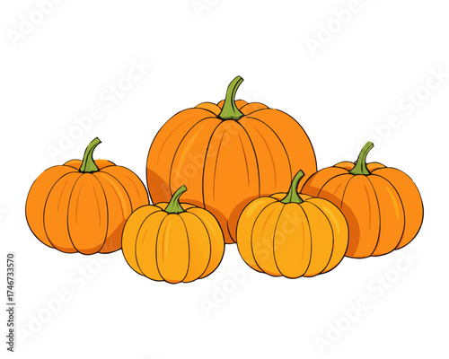 Pumpkin collection, isolated vector pack, Thanksgiving holiday isolated on white