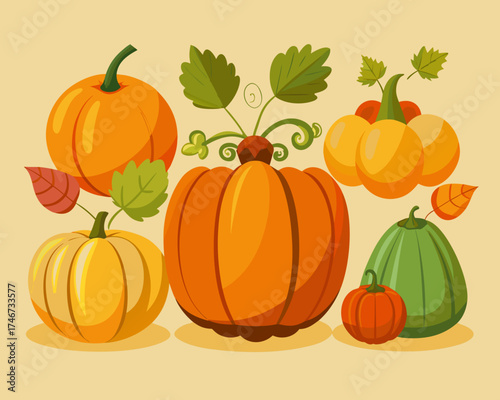 Pumpkin collection, isolated vector pack, Thanksgiving holiday isolated on white