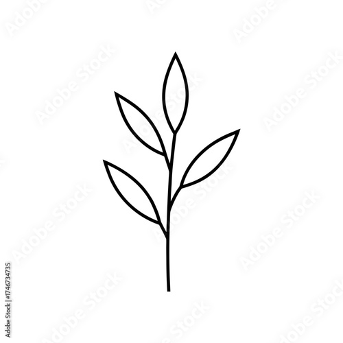 Simple plant stem with four leaves on transparent background silhouette