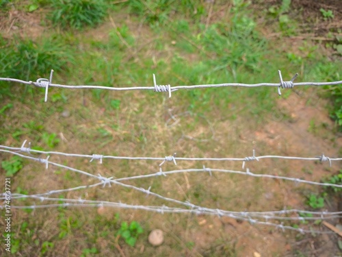Barbed wire fence on green grass background, closeup of photo