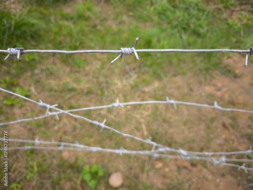 Barbed wire fence on green grass background. Selective focus.