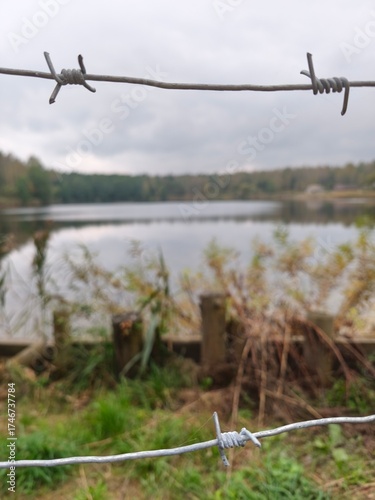 Barbed wire on the background of the lake in the autumn.