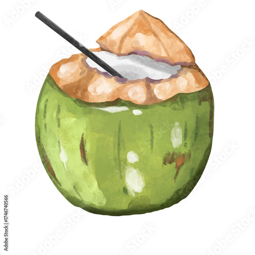 Young Coconut Drink Watercolor Illustration
