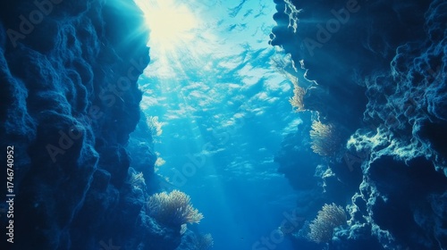 Coral reef. Animals of the underwater sea world. Ecosystem. Colorful tropical fish.