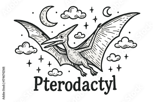 Pterodactyl and Celestial Wonders. Hand-drawn pterodactyl with moons, clouds, and sparkles, center word “Pterodactyl” in black and