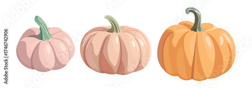 Cute pumpkins in soft pastel color palette. Vector isolated illustration