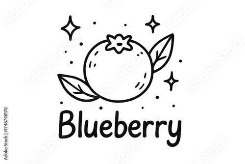 Blueberry Doodle Art. Doodle blueberry with stars, sparkles, and leaves, center word “Blueberry” in black and white isolated