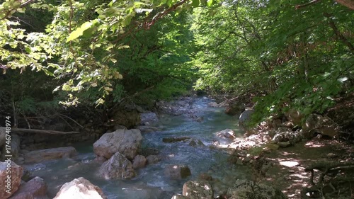 Mountain river green forest in summer. A colorful refreshing cool summer landscape with the purest water. The rapid flow of the river rushes over the stones. The concept of hiking, the beauty around