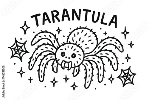 Tarantula Doodle Art. Doodle tarantula with stars, webs, and sparkles, center word “Tarantula” in black and white isolated