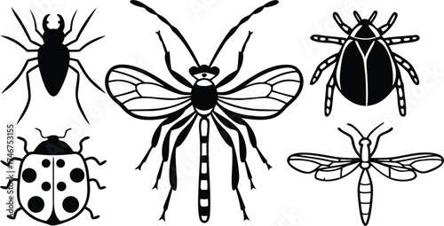 Insects: An educational illustration featuring a collection of various insect species in a striking monochromatic palette, perfect for educational or design purposes.