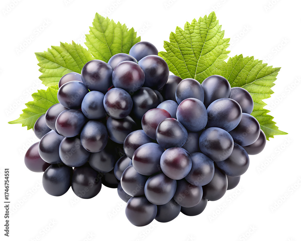 Fototapeta premium bunch of grapes isolated on transparent cutout background